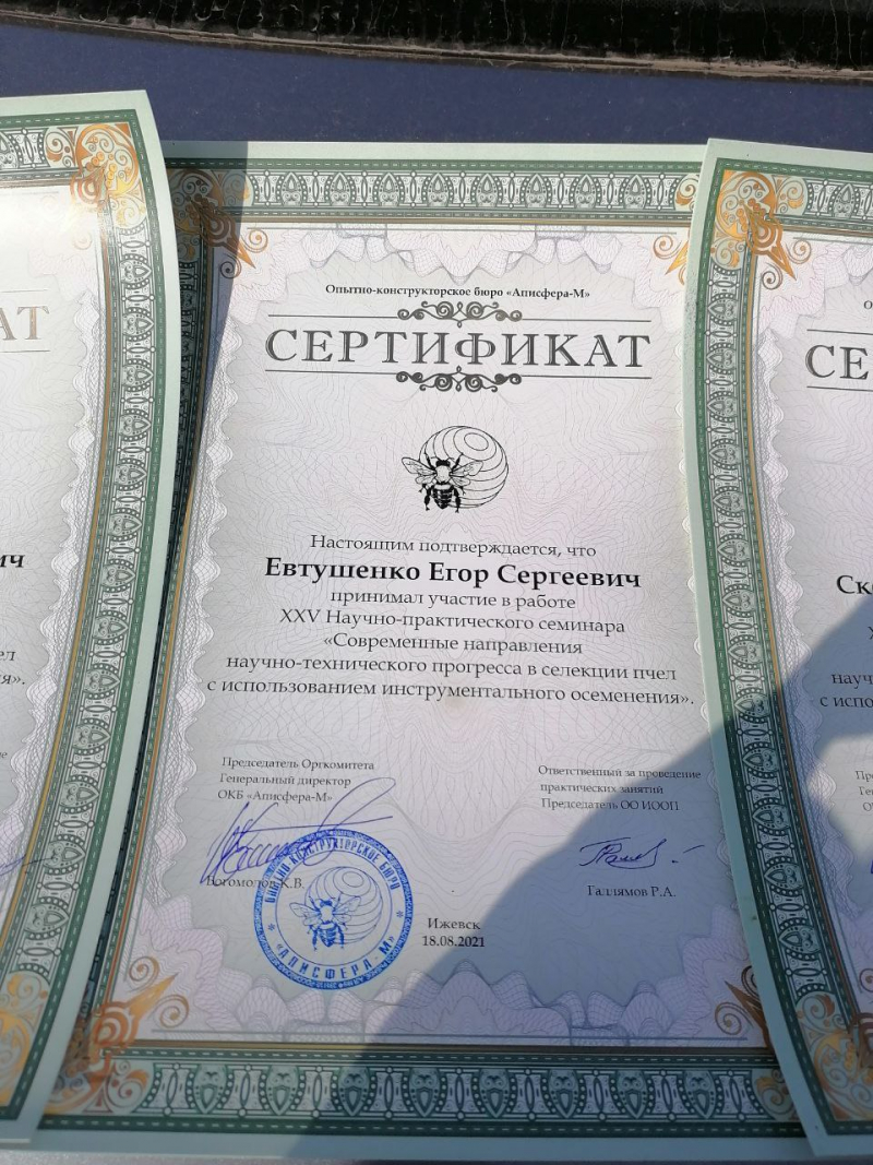 Сертификат ИО