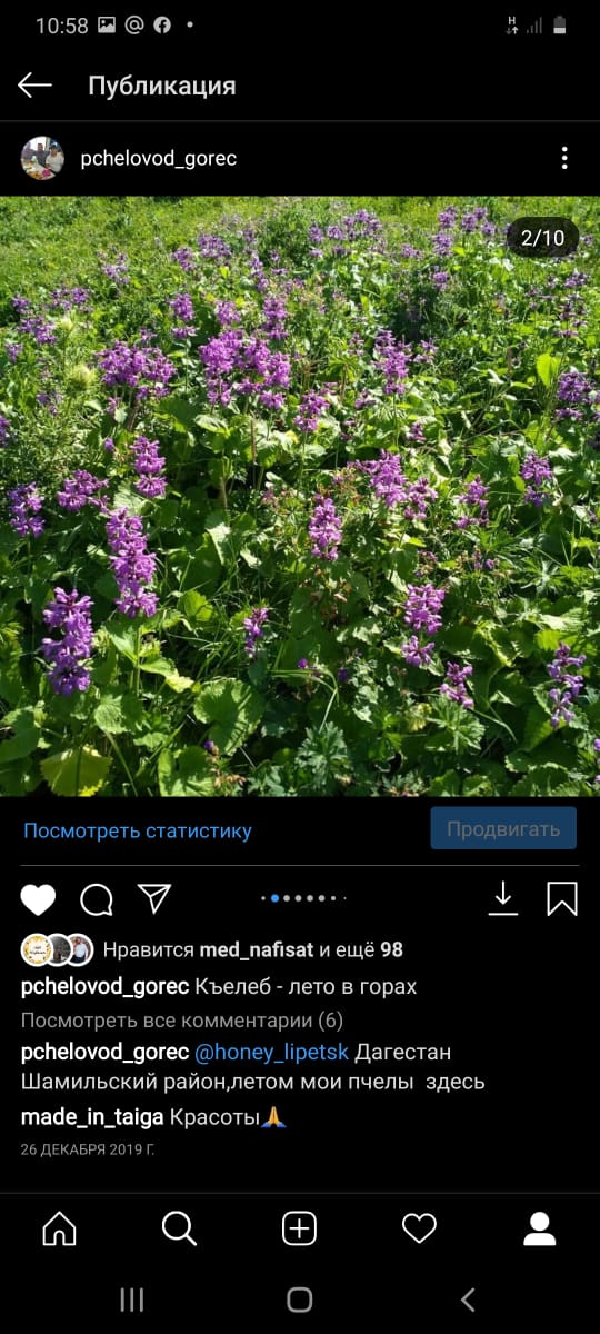 Махмуд-апанди