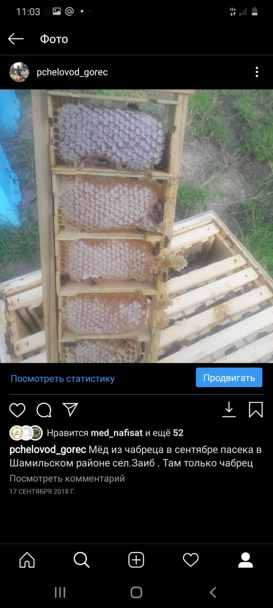 Махмуд-апанди